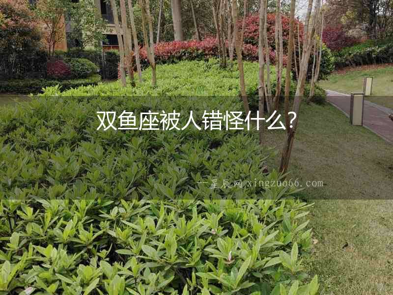 雙魚座被人錯怪什么？