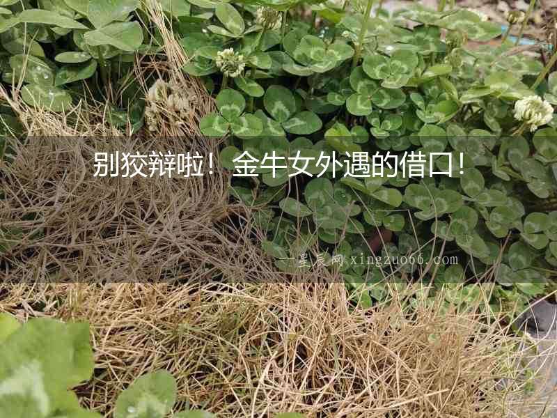 別狡辯啦！金牛女外遇的借口！