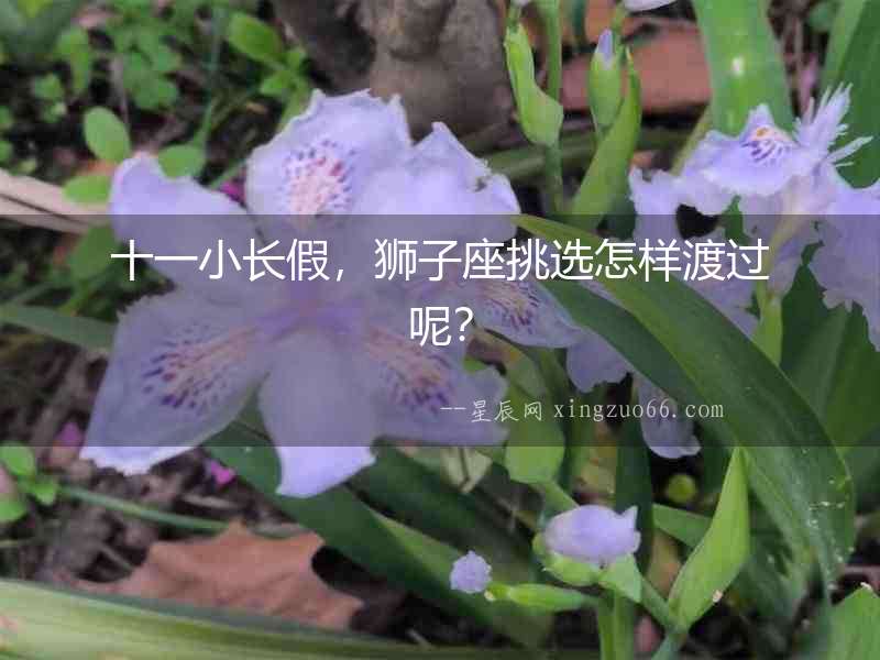 十一小長假，獅子座挑選怎樣渡過呢？