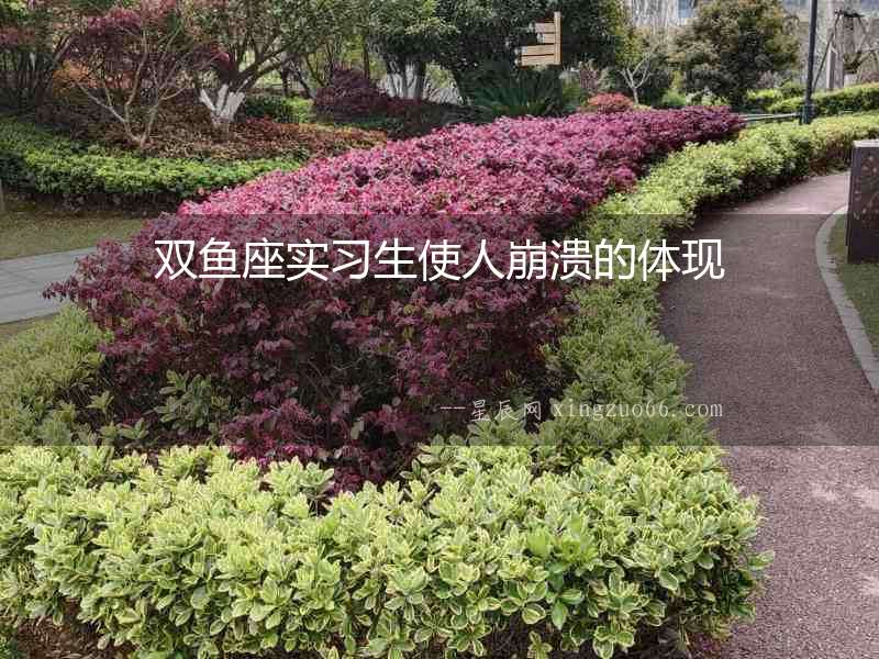 雙魚(yú)座實(shí)習(xí)生使人崩潰的體現(xiàn)