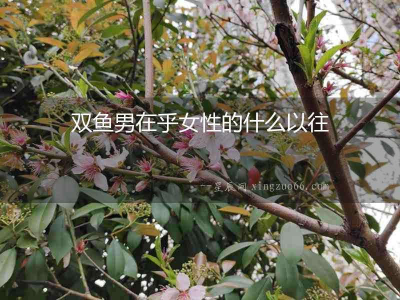 雙魚男在乎女性的什么以往