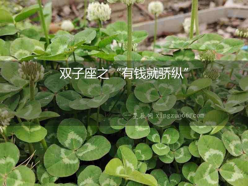雙子座之“有錢就驕縱”