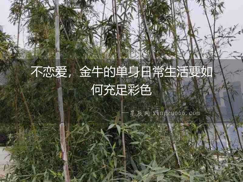 不戀愛，金牛的單身日常生活要如何充足彩色
