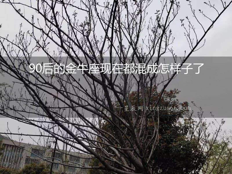 90后的金牛座現(xiàn)在都混成怎樣子了