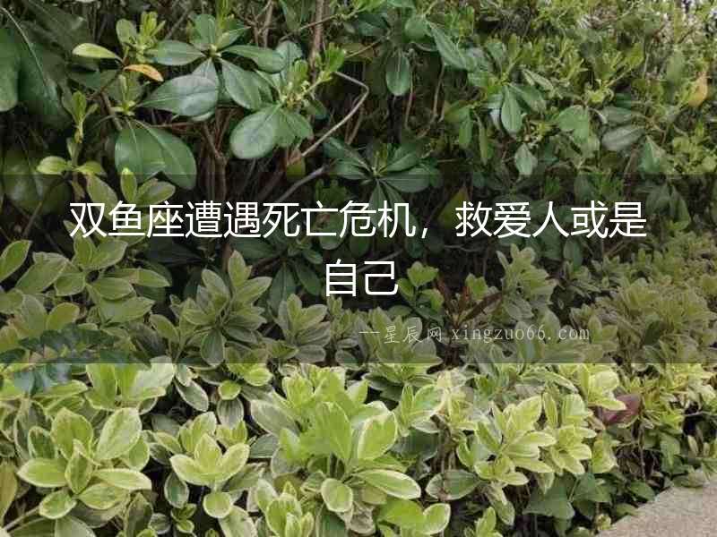 雙魚座遭遇死亡危機，救愛人或是自己