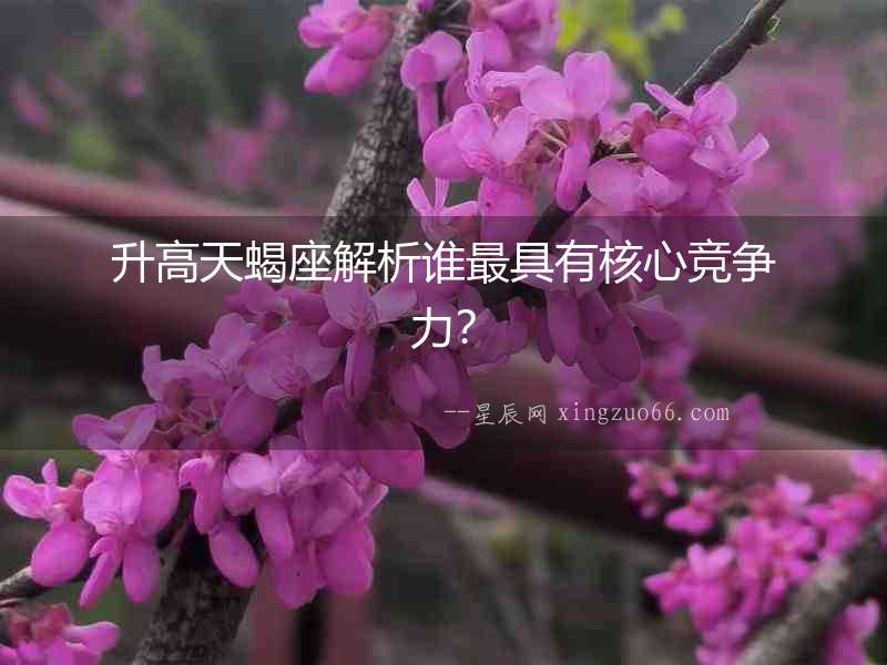 升高天蝎座解析誰最具有核心競爭力？