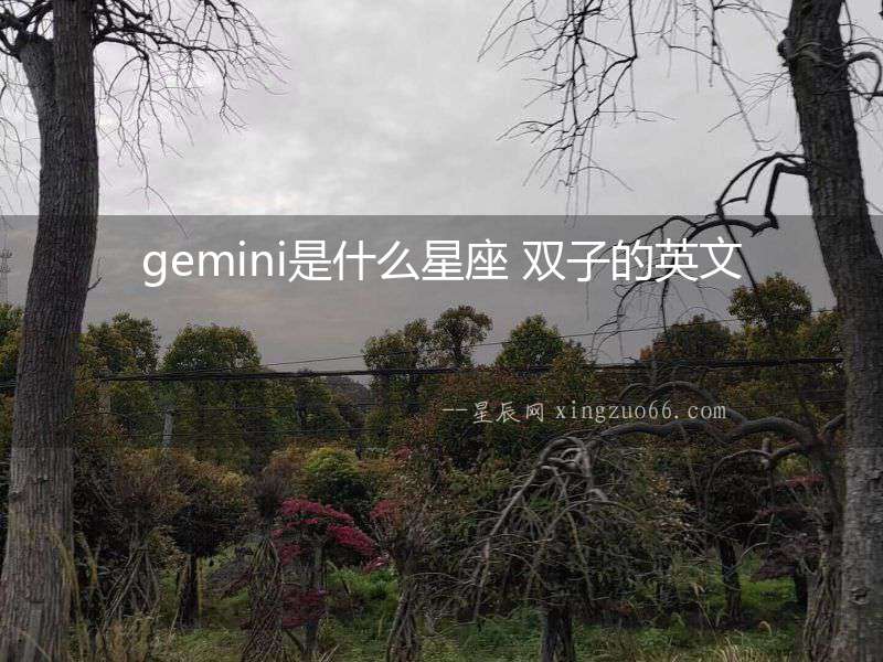 gemini是什么星座 雙子的英文