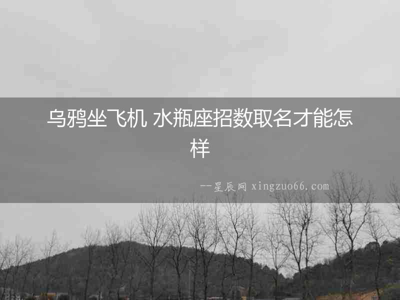 烏鴉坐飛機 水瓶座招數取名才能怎樣