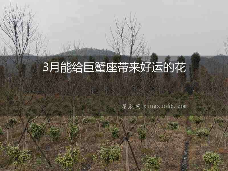 3月能給巨蟹座帶來好運(yùn)的花