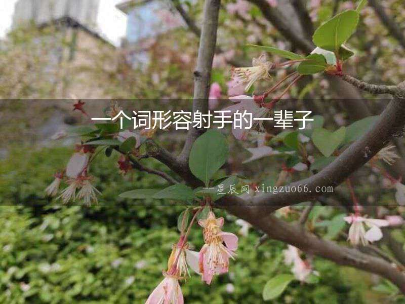 一個(gè)詞形容射手的一輩子