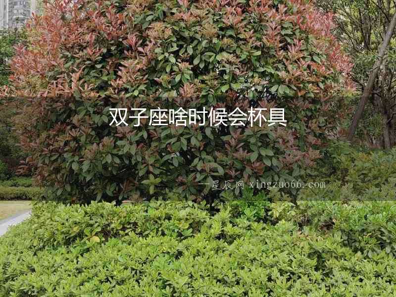 雙子座啥時(shí)候會(huì)杯具