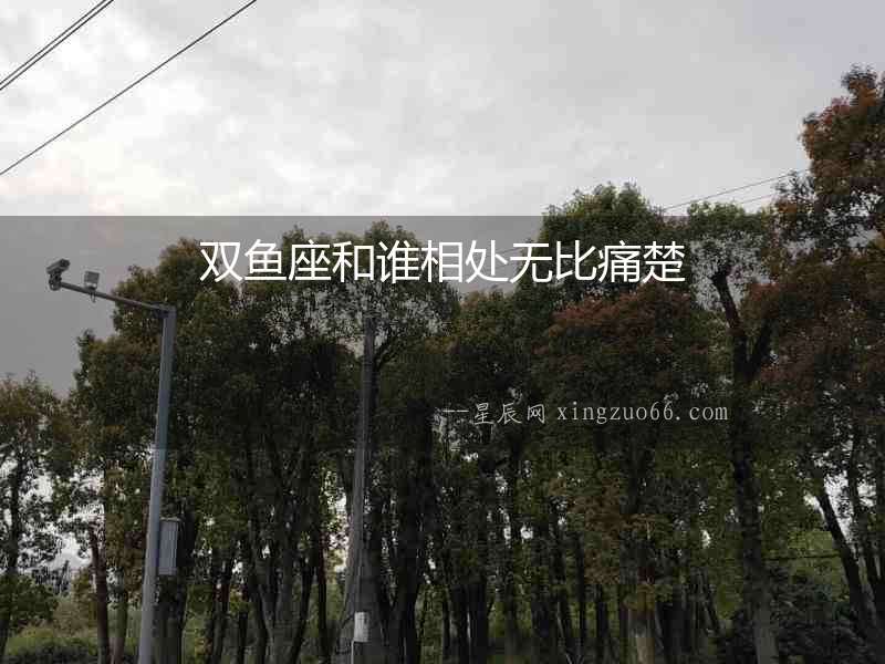 雙魚座和誰(shuí)相處無(wú)比痛楚