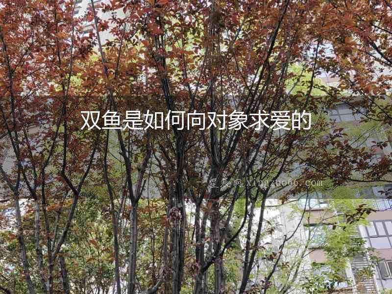 雙魚是如何向對象求愛的