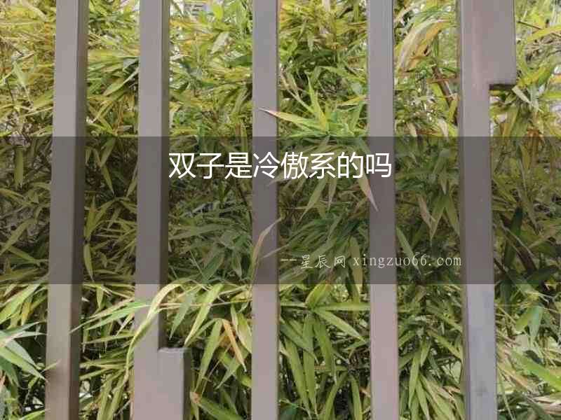 雙子是冷傲系的嗎
