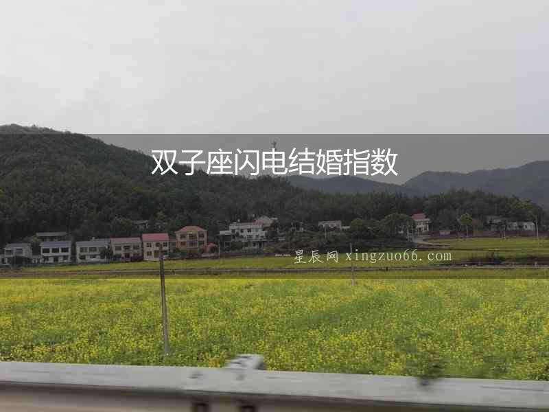 雙子座閃電結婚指數