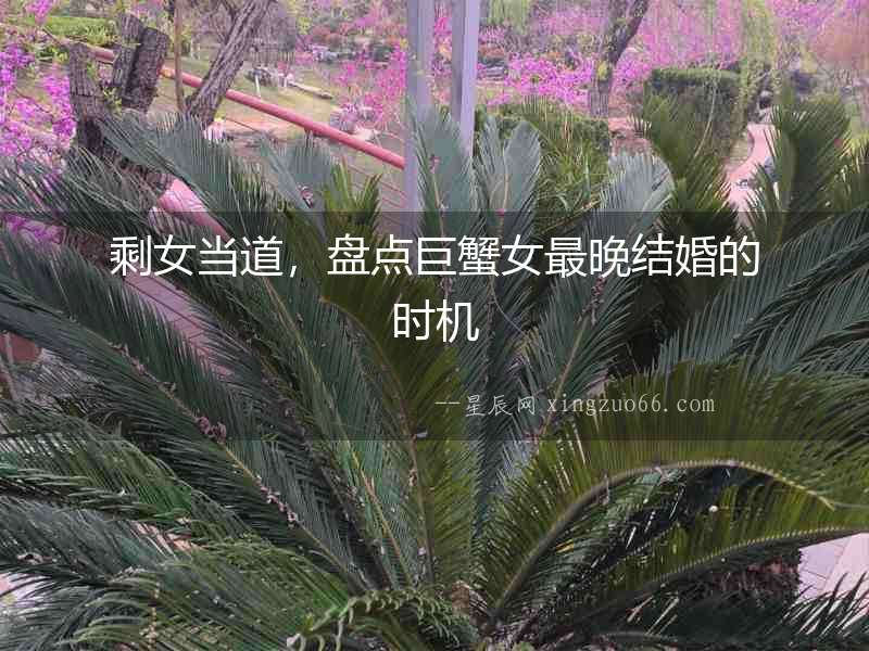 剩女當(dāng)?shù)溃P(pán)點(diǎn)巨蟹女最晚結(jié)婚的時(shí)機(jī)