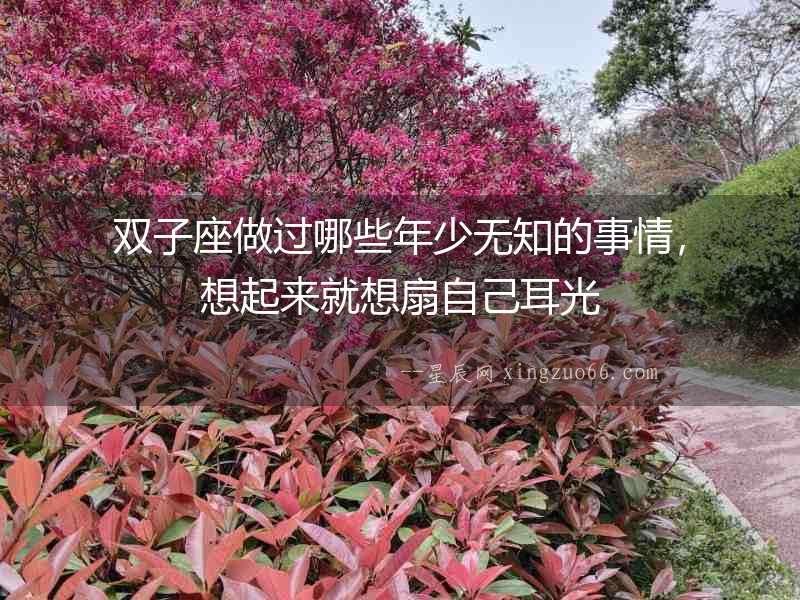 雙子座做過哪些年少無知的事情，想起來就想扇自己耳光