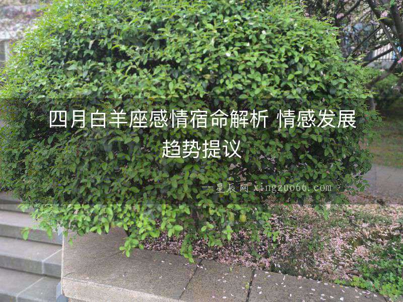 四月白羊座感情宿命解析 情感發展趨勢提議