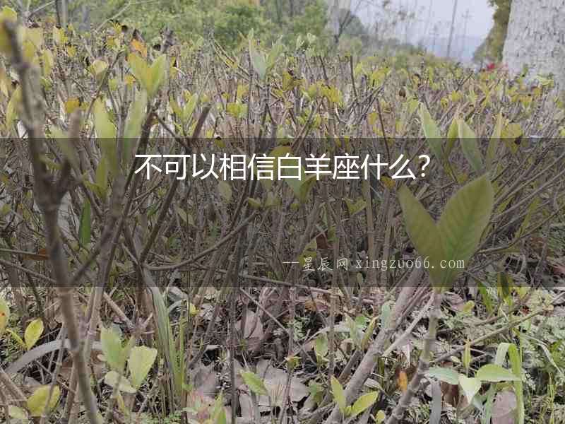 不可以相信白羊座什么？