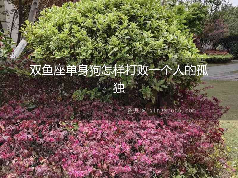 雙魚座單身狗怎樣打敗一個(gè)人的孤獨(dú)