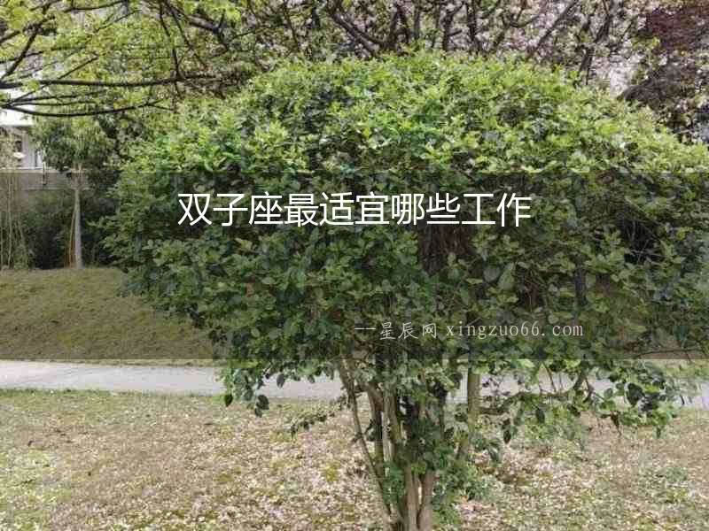 雙子座最適宜哪些工作
