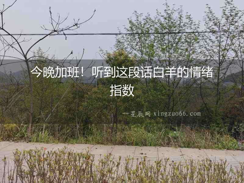 今晚加班！聽到這段話白羊的情緒指數
