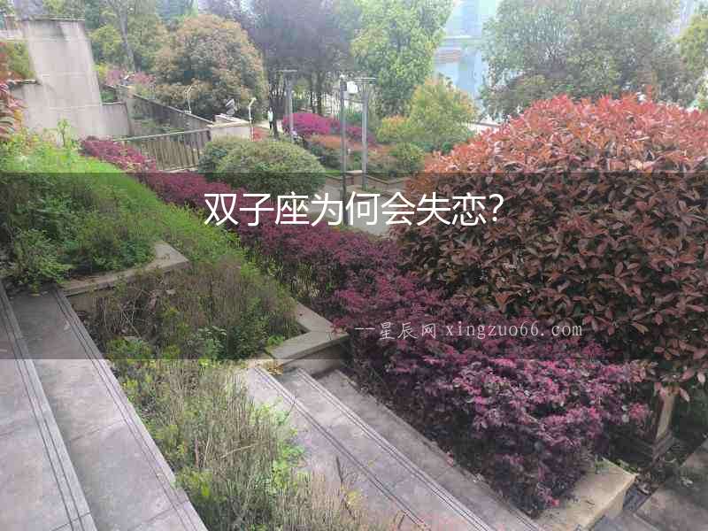 雙子座為何會失戀？
