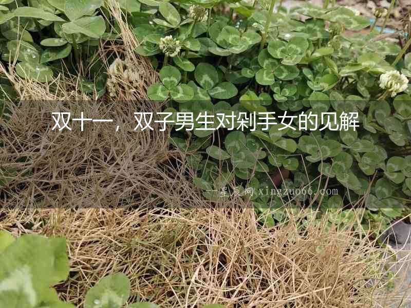 雙十一，雙子男生對剁手女的見解