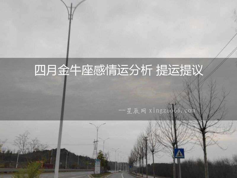 四月金牛座感情運分析 提運提議