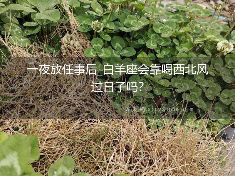 一夜放任事后_白羊座會靠喝西北風過日子嗎？