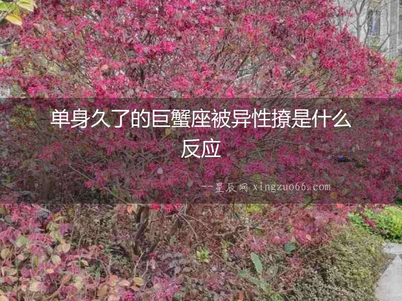 單身久了的巨蟹座被異性撩是什么反應
