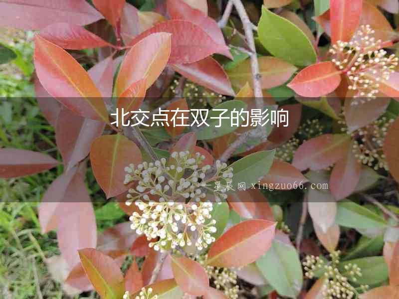 北交點(diǎn)在雙子的影響