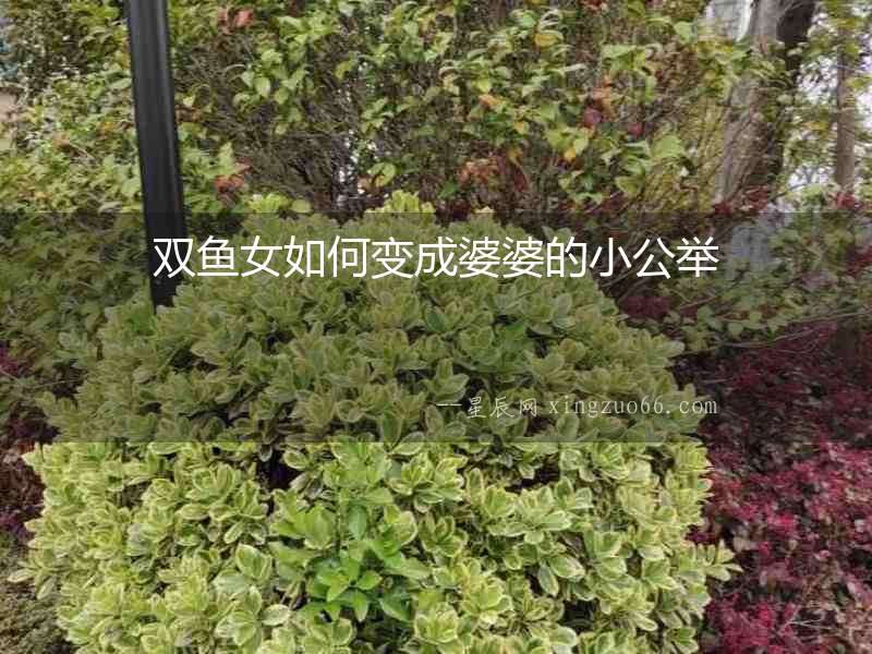 雙魚(yú)女如何變成婆婆的小公舉