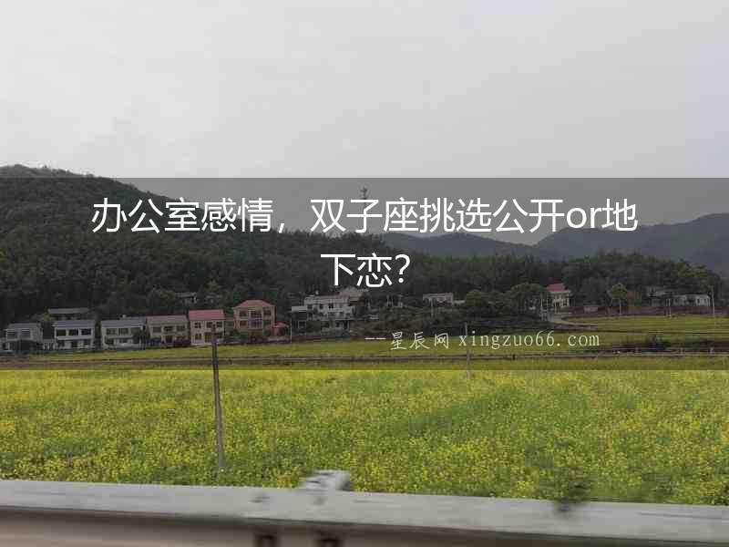 辦公室感情，雙子座挑選公開(kāi)or地下戀？