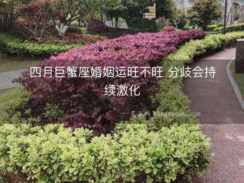 四月巨蟹座婚姻運(yùn)旺不旺 分歧會(huì)持續(xù)激化