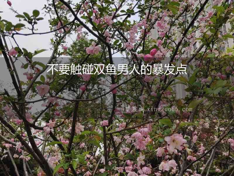 不要觸碰雙魚男人的暴發點