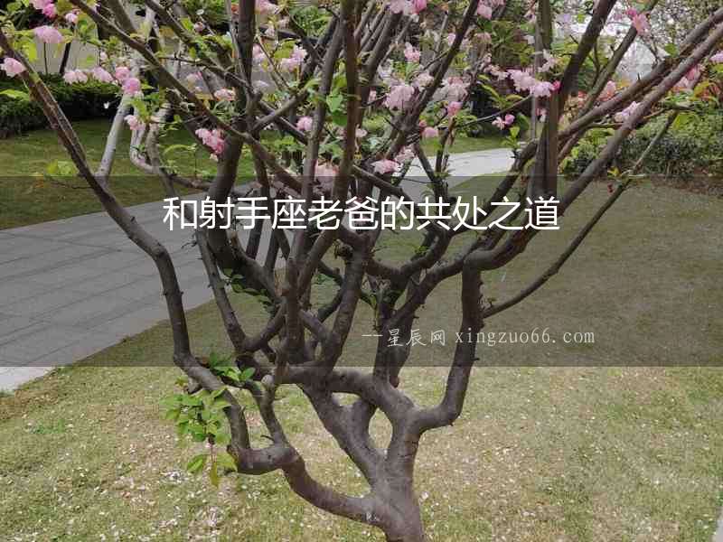和射手座老爸的共處之道