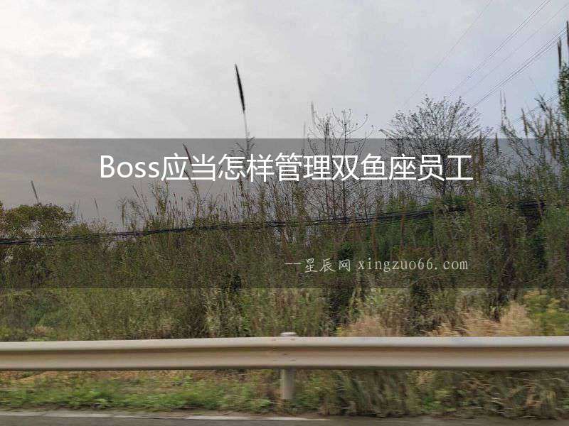 Boss應(yīng)當(dāng)怎樣管理雙魚座員工