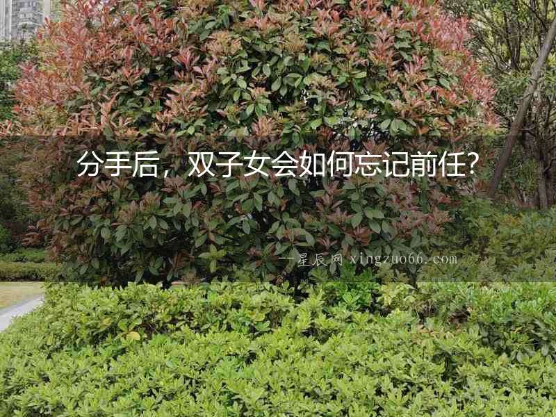 分手后，雙子女會(huì)如何忘記前任？
