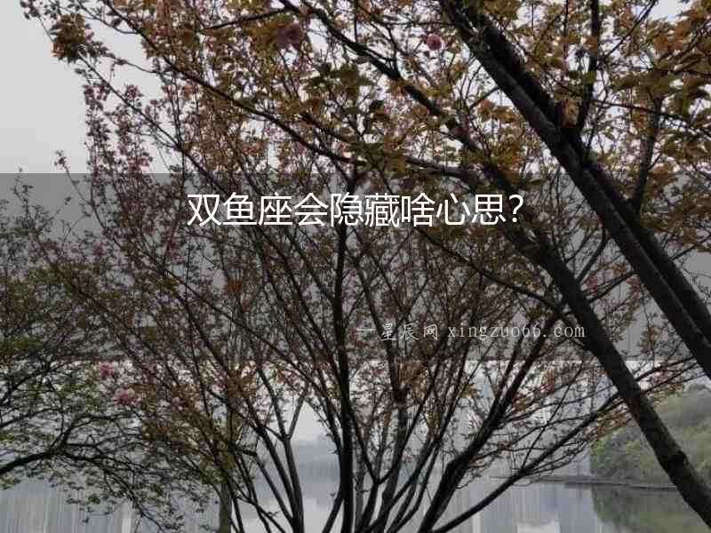 雙魚座會隱藏啥心思？