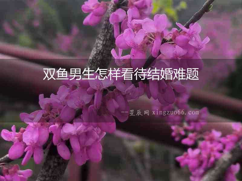 雙魚男生怎樣看待結婚難題
