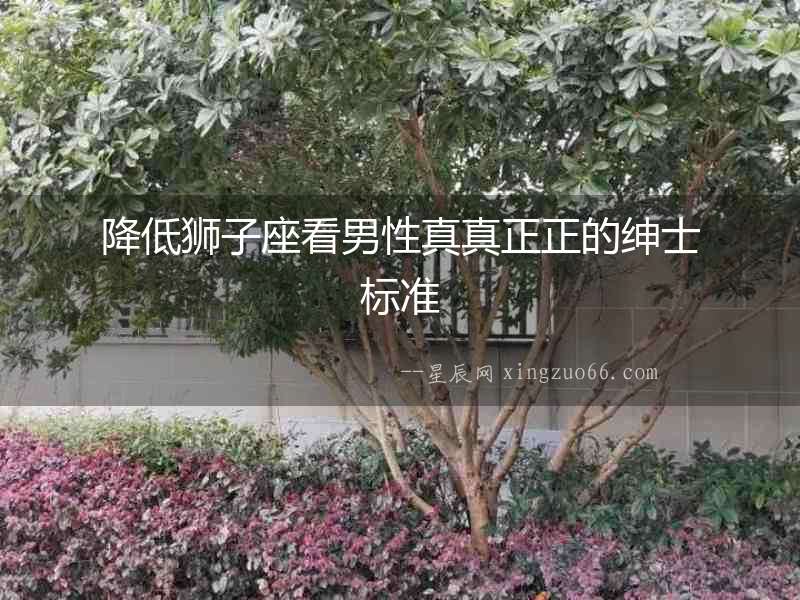 降低獅子座看男性真真正正的紳士標(biāo)準(zhǔn)