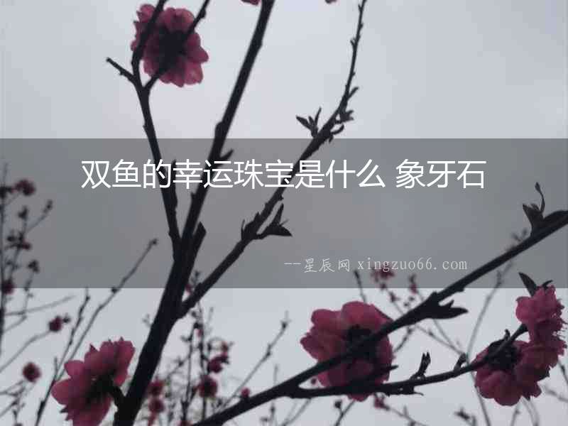 雙魚的幸運珠寶是什么 象牙石