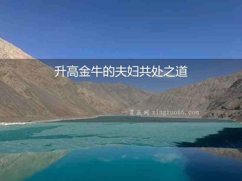 升高金牛的夫婦共處之道