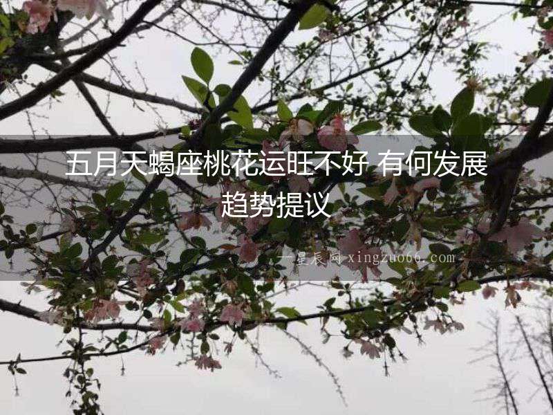 五月天蝎座桃花運(yùn)旺不好 有何發(fā)展趨勢(shì)提議