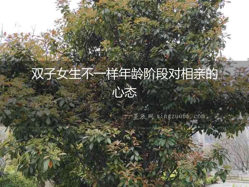 雙子女生不一樣年齡階段對相親的心態(tài)