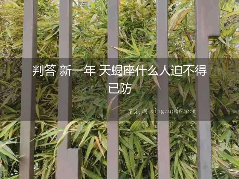判答 新一年 天蝎座什么人迫不得已防