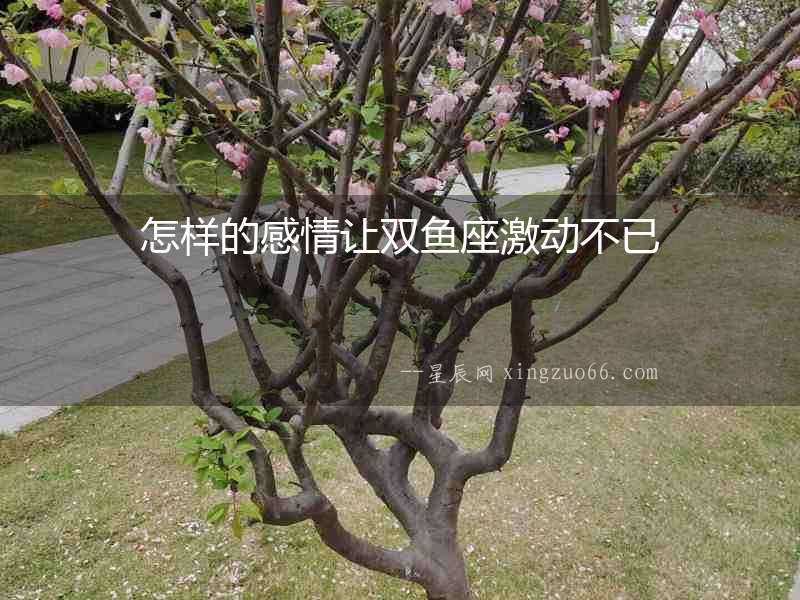 怎樣的感情讓雙魚座激動(dòng)不已