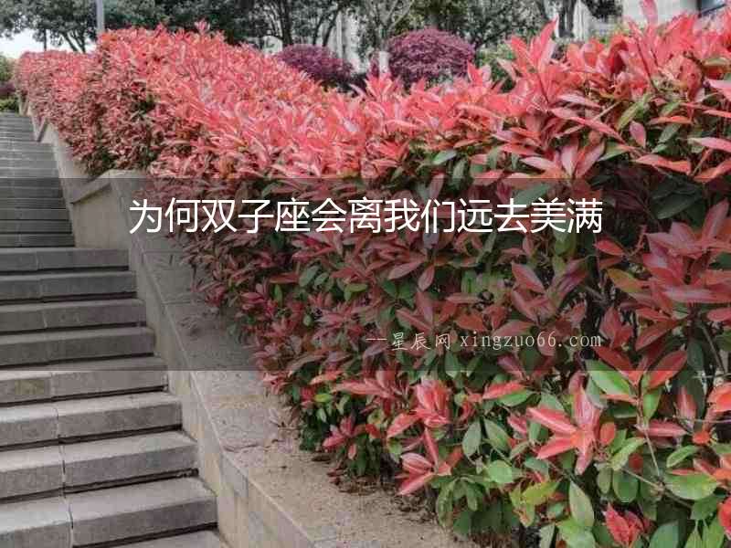 為何雙子座會(huì)離我們遠(yuǎn)去美滿
