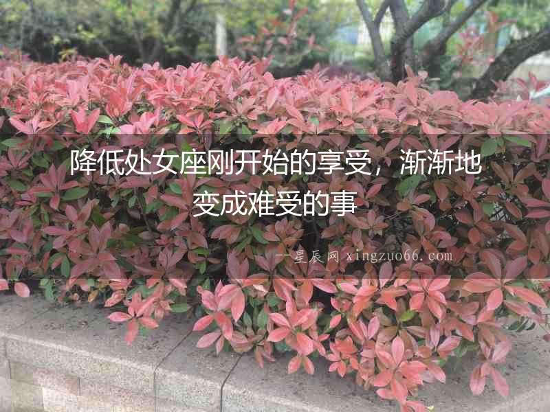 降低處女座剛開始的享受，漸漸地變成難受的事